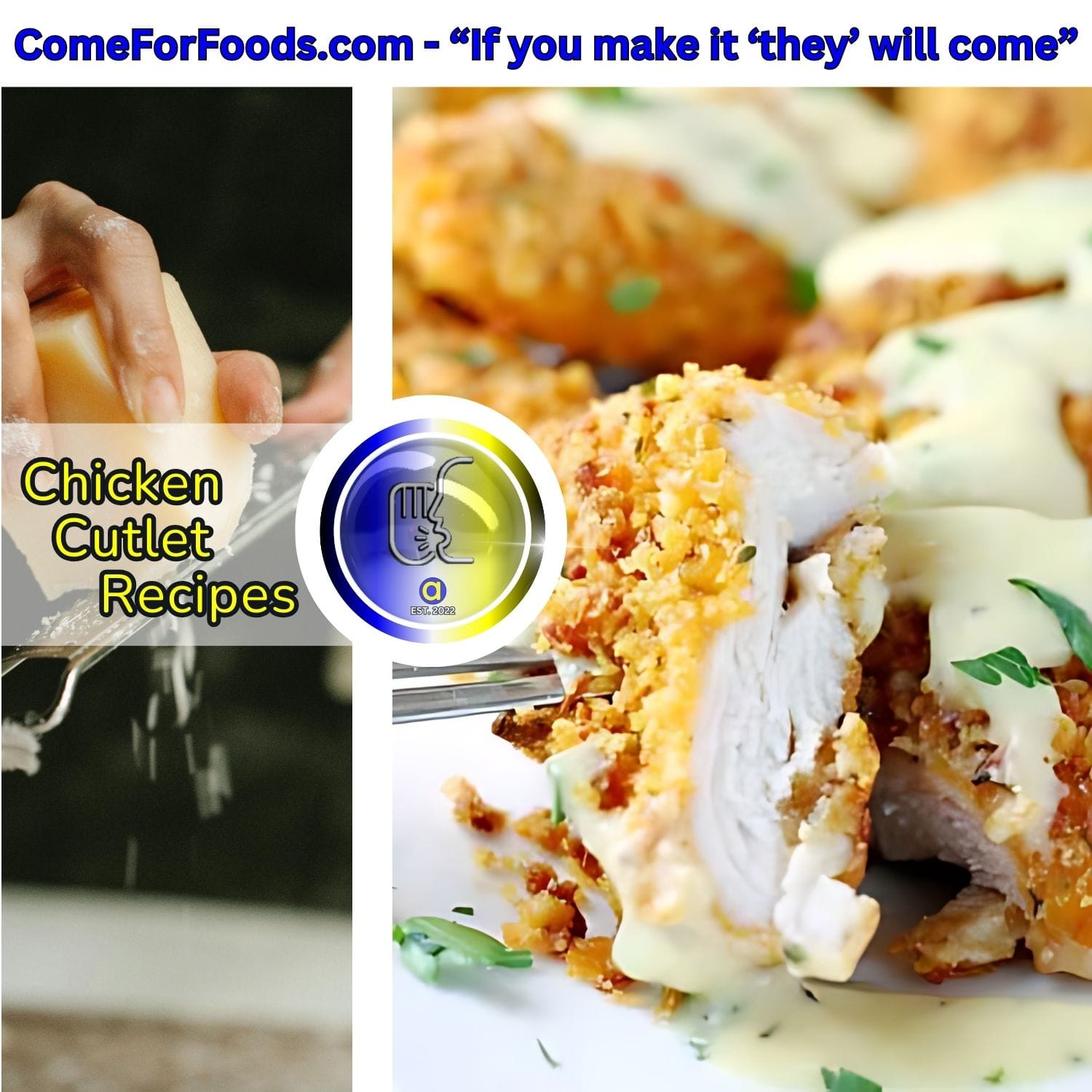 Easy Crunchy Parmesan Garlic Chicken Cutlet Recipes