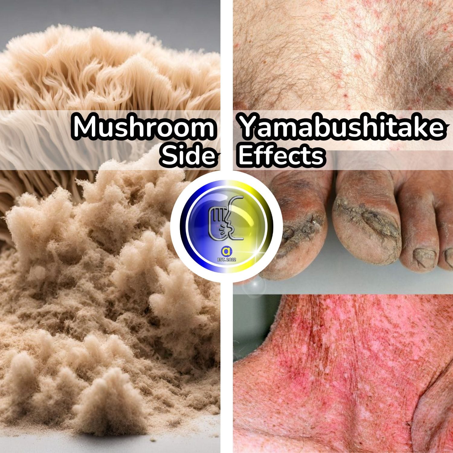 Lions Mane Mushroom Side Effect