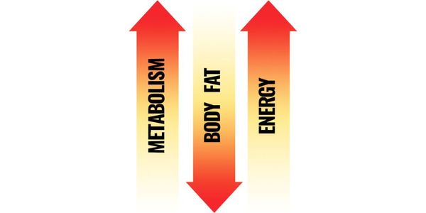 The Skinny on JAVA BURN – What’s in It, Does It Work?