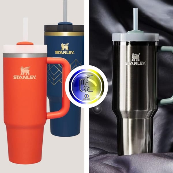 Why Are People Obsessed With the Stanley Tumbler? A Deep Dive Review