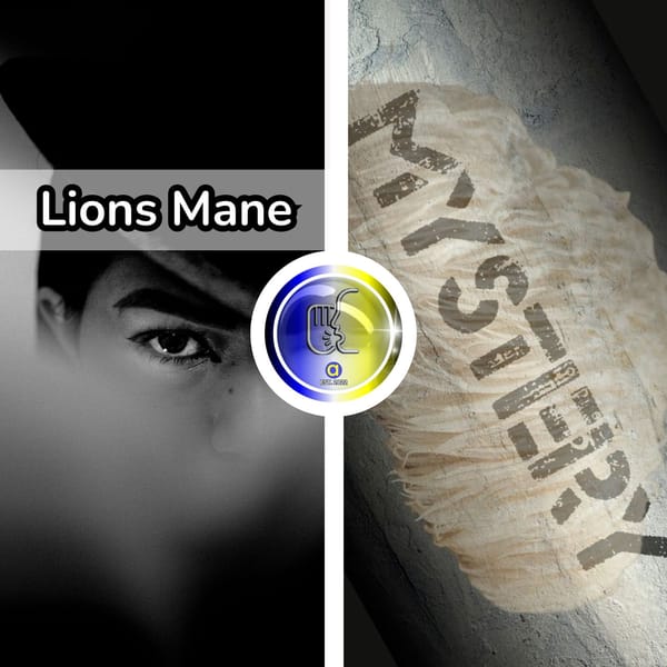 Unveiling the Mysteries of Lion's Mane: Wellness Journey